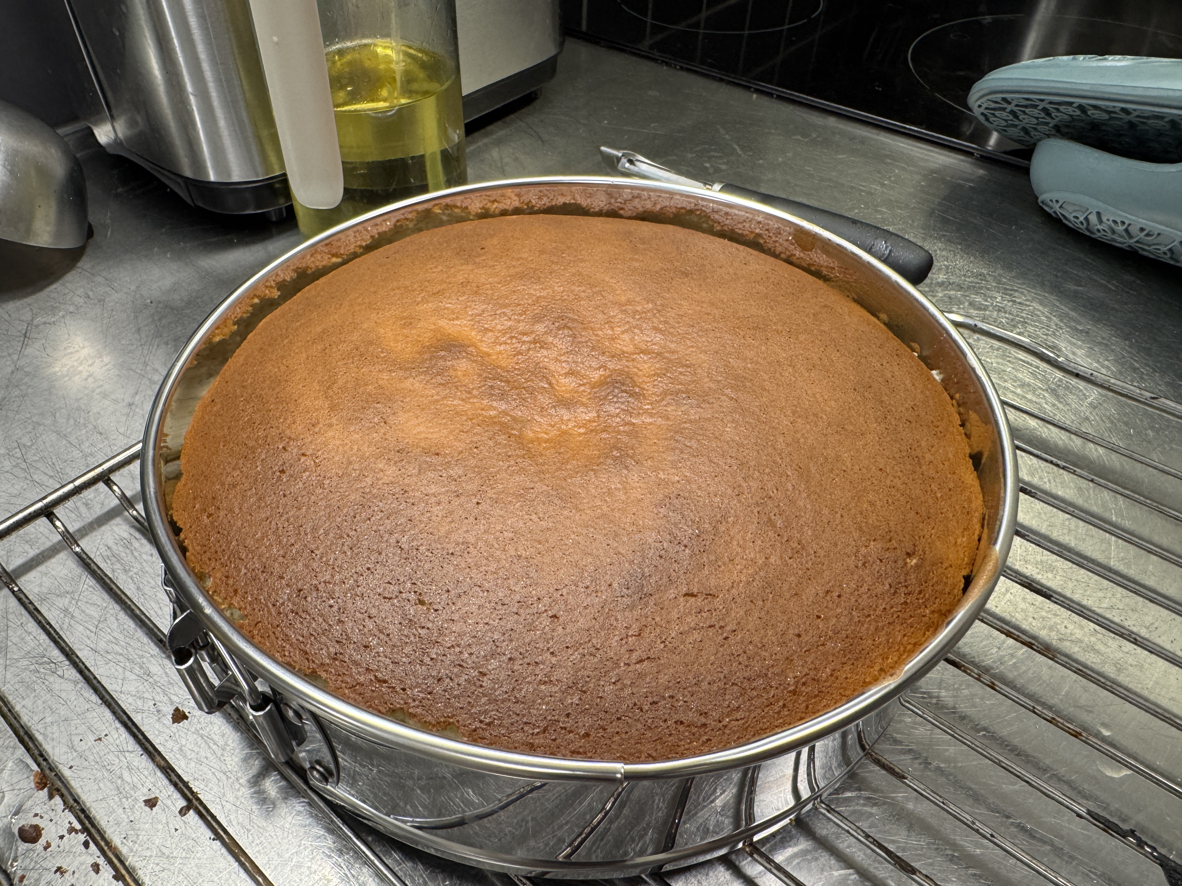 Sponge Base
